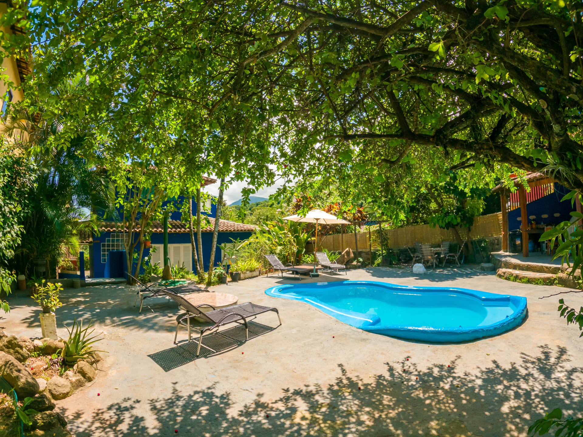 Piscina sob sombra de árvore